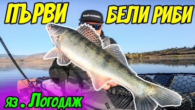 Ловя риба легнал.Първи джиг риболов за бяла риба за сезон 2021/2022